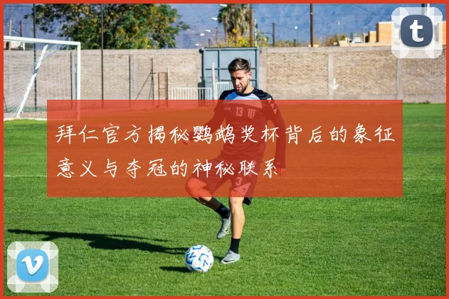 拜仁官方揭秘鹦鹉奖杯背后的象征意义与夺冠的神秘联系